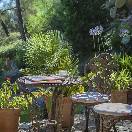 Punxa Dalt - Traditional With Heatable Pool פוינסה
